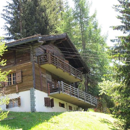 Вилла Chalet Nouchka Verb120 Вербье Экстерьер фото